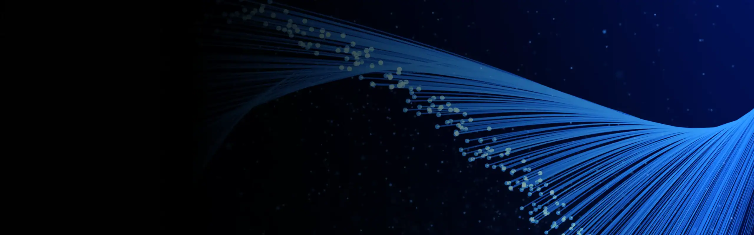 A banner image for Managed Detection and Response Services