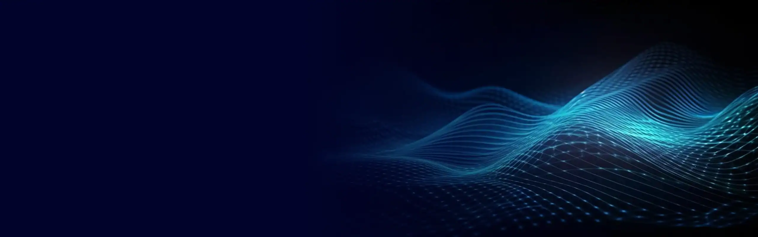 Beyondtrust Services Banner Image