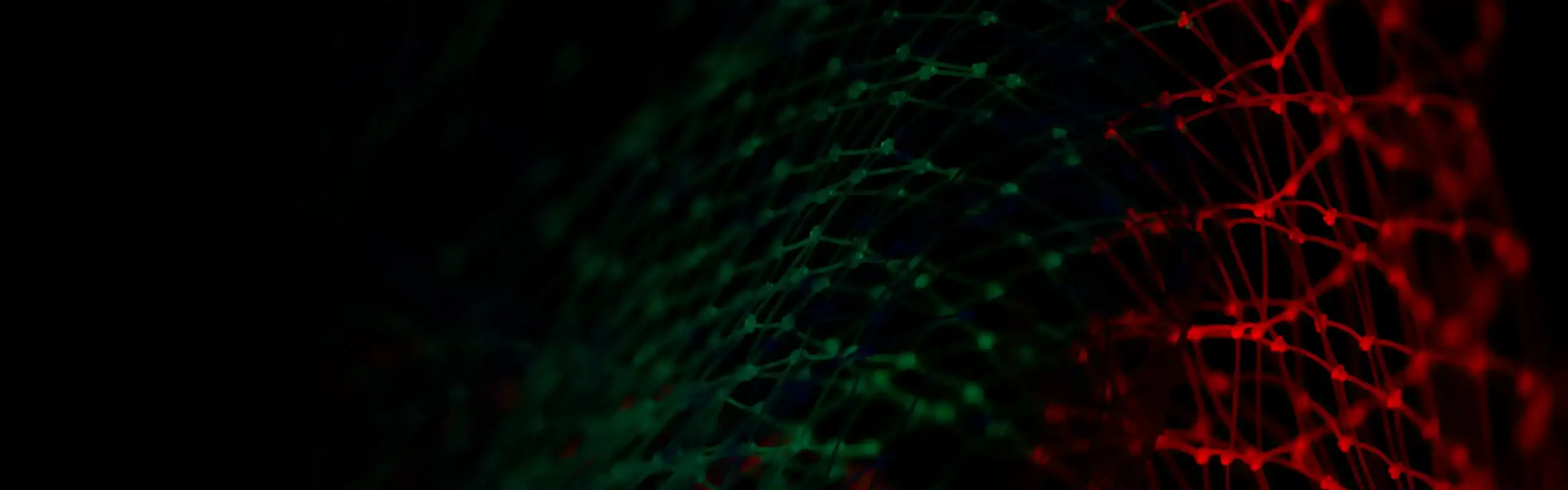 Cross Platform App Development Company Banner Image